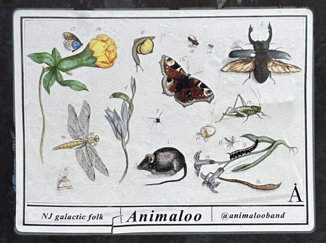 sticker with animals and plants