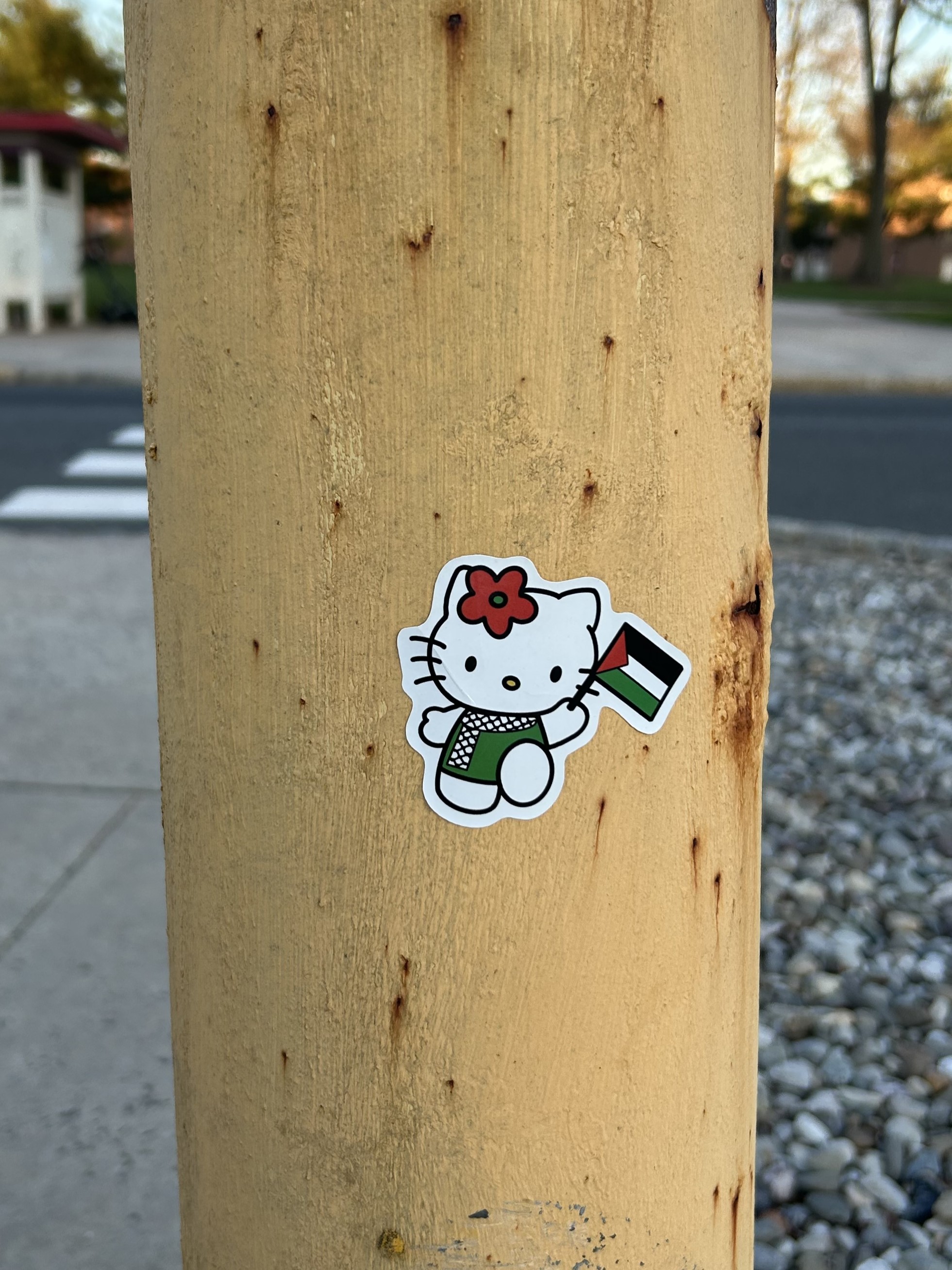 hello kitty with a palestinian flag sticker on a yellow pole