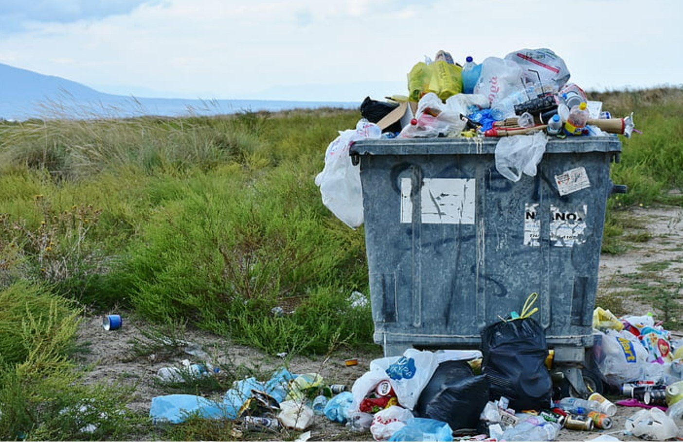 overflowing garbage bin in a grass field